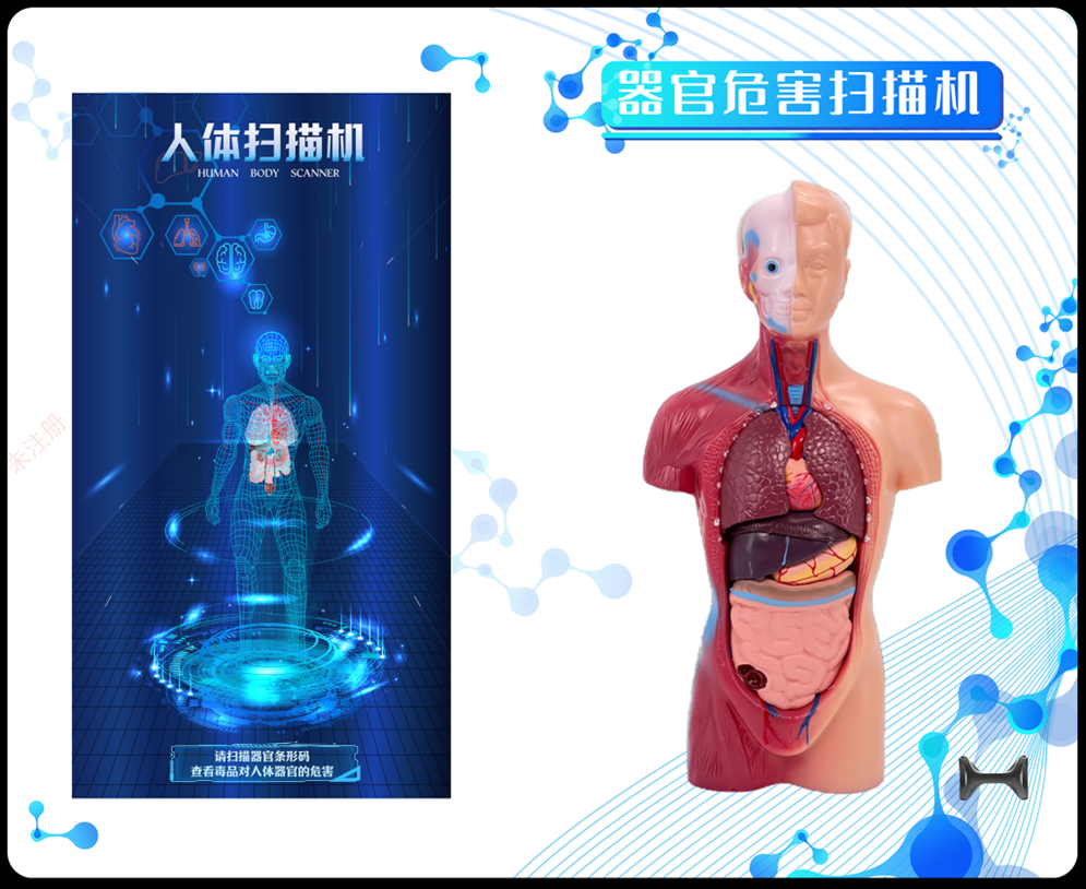 禁毒器官危害扫描机 禁毒人体扫描互动演示系统