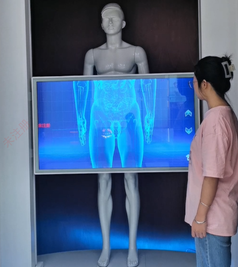 禁毒展厅互动滑轨屏 人体扫描滑轨屏 禁毒互动多媒体 禁毒展厅互动滑轨屏 人体扫描滑轨屏 禁毒互动多媒体